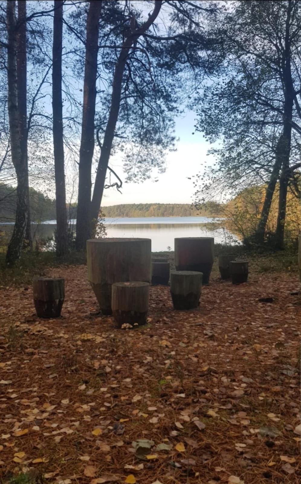 Wczasy Na Kaszubach U Hani Wiele Exterior photo